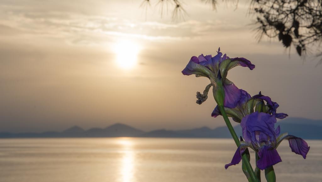Seasidehouse Villa İdra Dış mekan fotoğraf